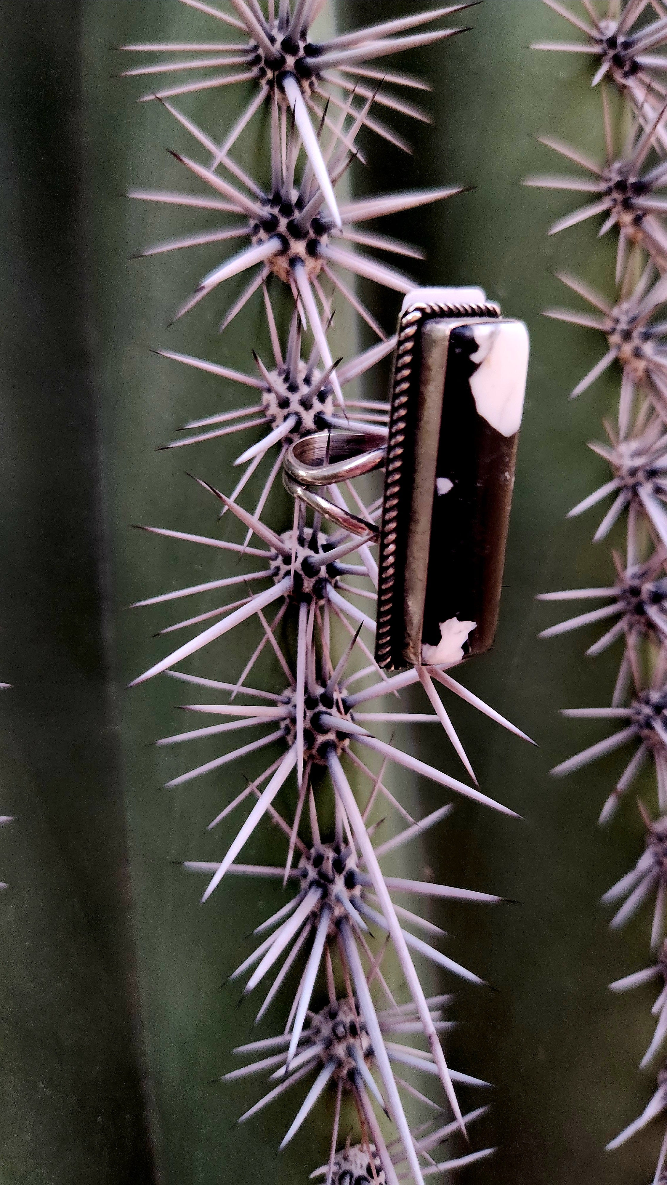 Navajo Handmade White Buffalo Adjustable Ring
