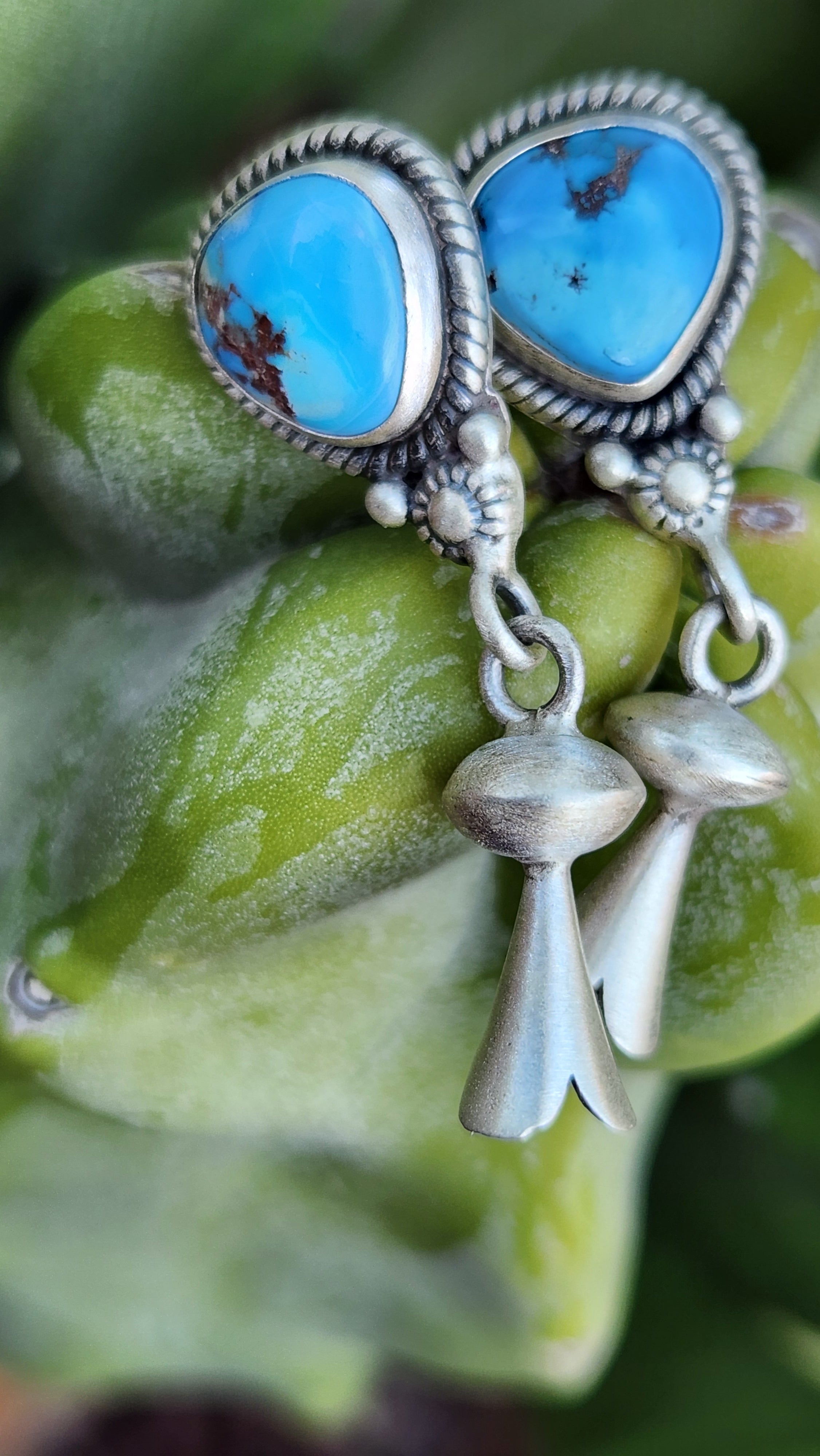 Beautiful Golden Hills Turquoise Squash Earrings