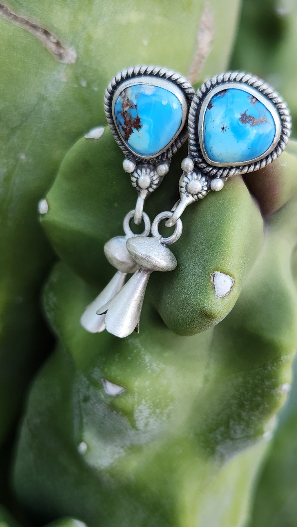 Beautiful Golden Hills Turquoise Squash Earrings