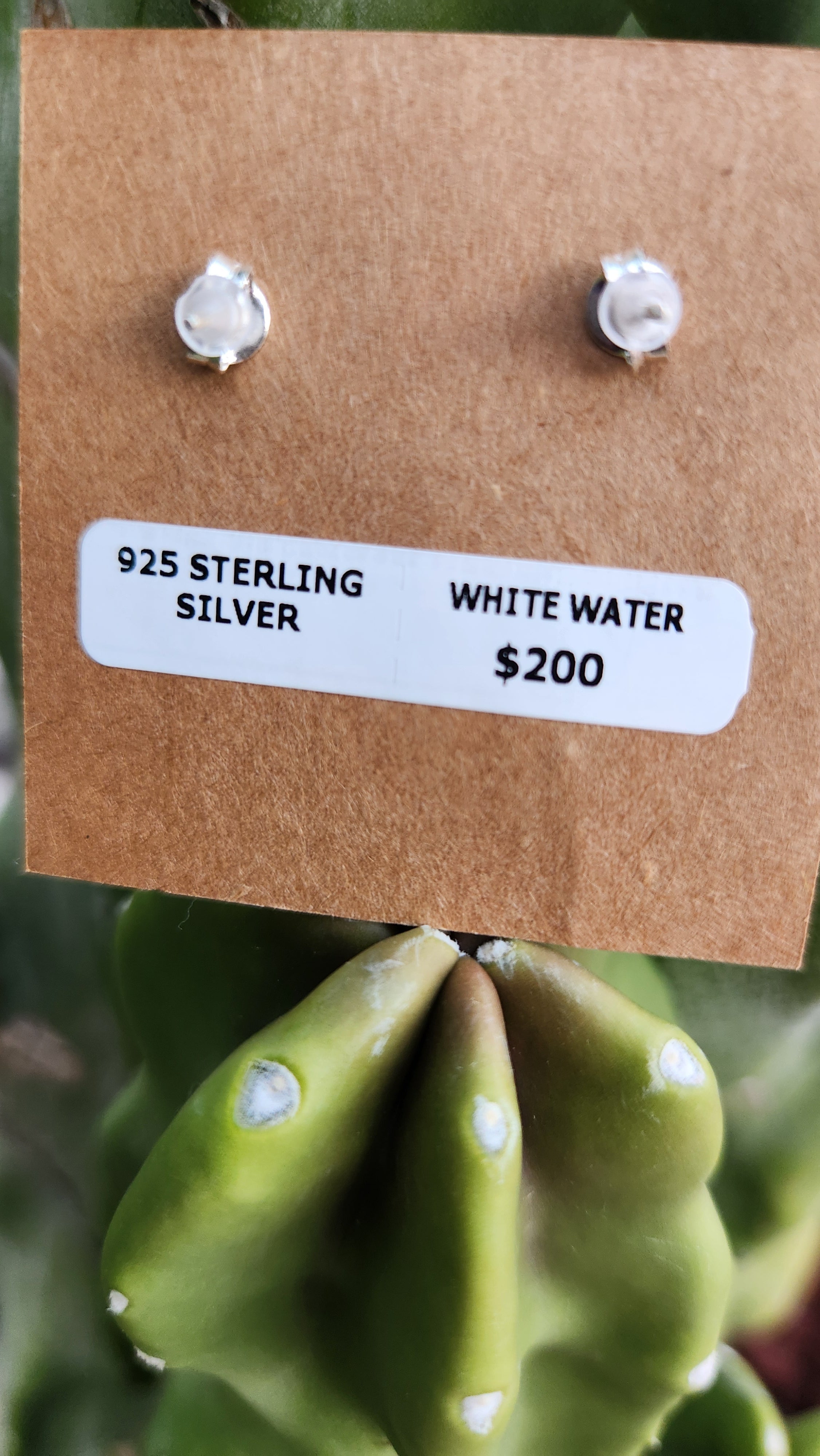 Beautiful Genuine White Water Turquoise Squash Earrings