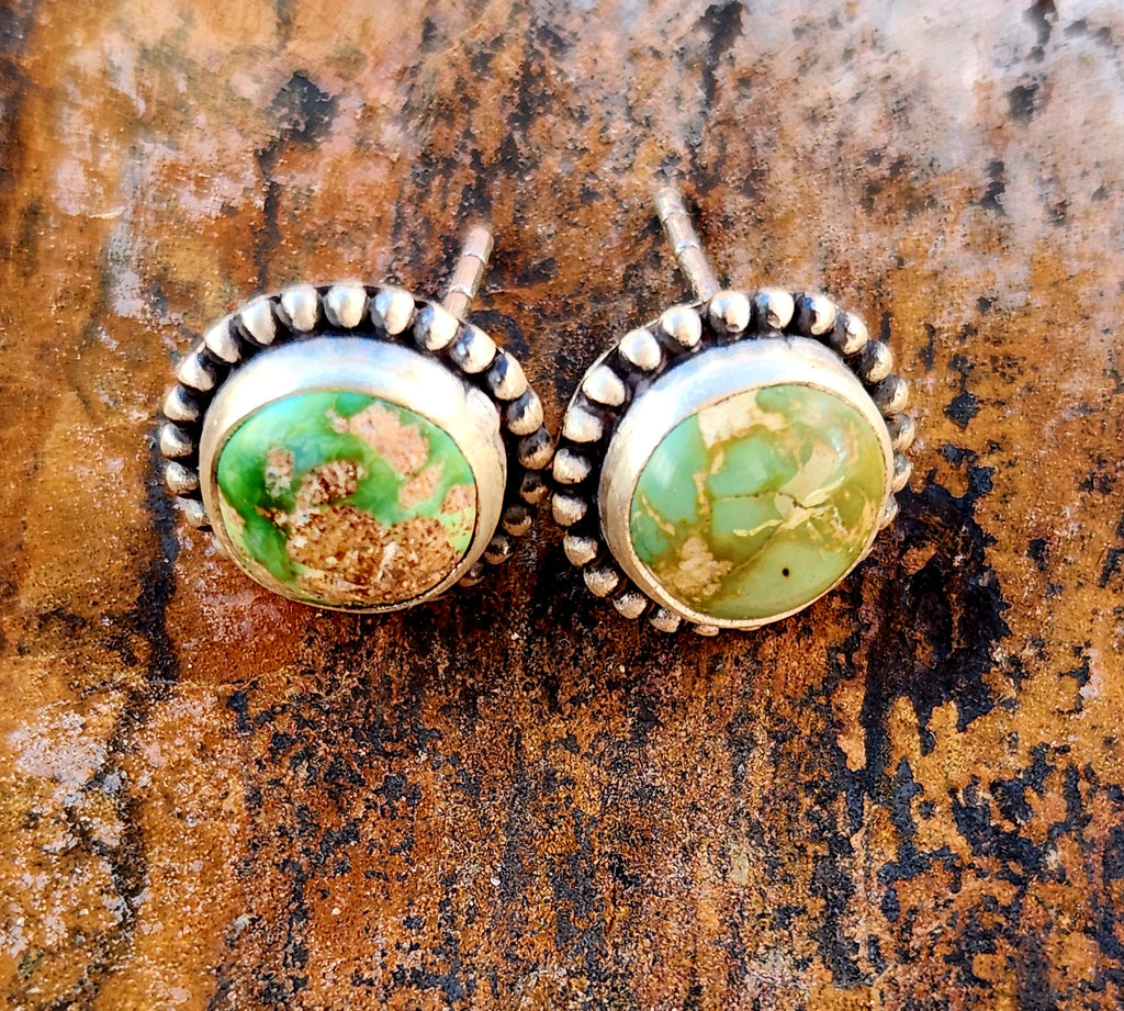 Beautiful Sonoran Mountain Turquoise Stud Earrings